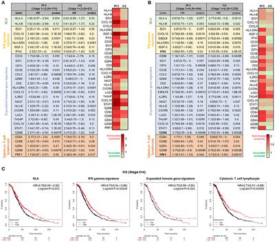 Genomic Signatures of Immune Activation Predict Outcome in Advanced Stages of Ovarian Cancer and Basal-Like Breast Tumors